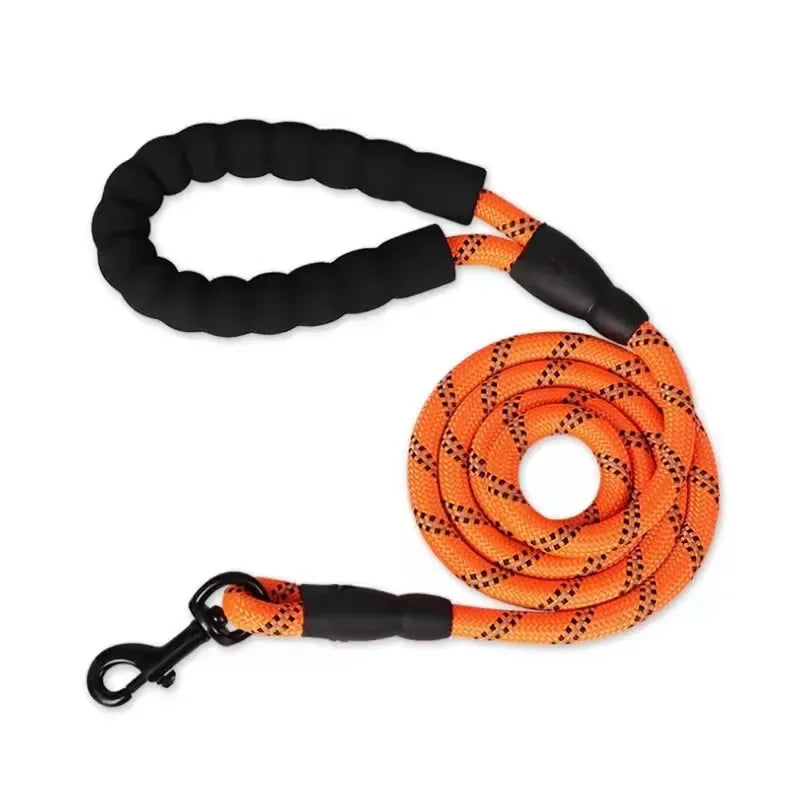 Dog leash, Front