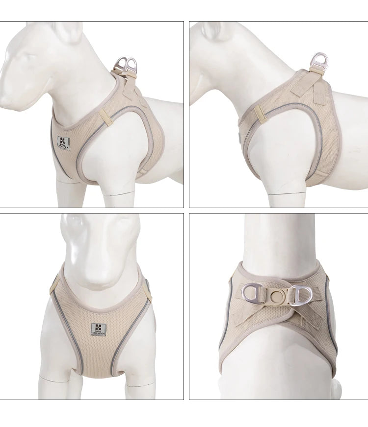 Dog Harness & Leash Set for Small To Medium Dog