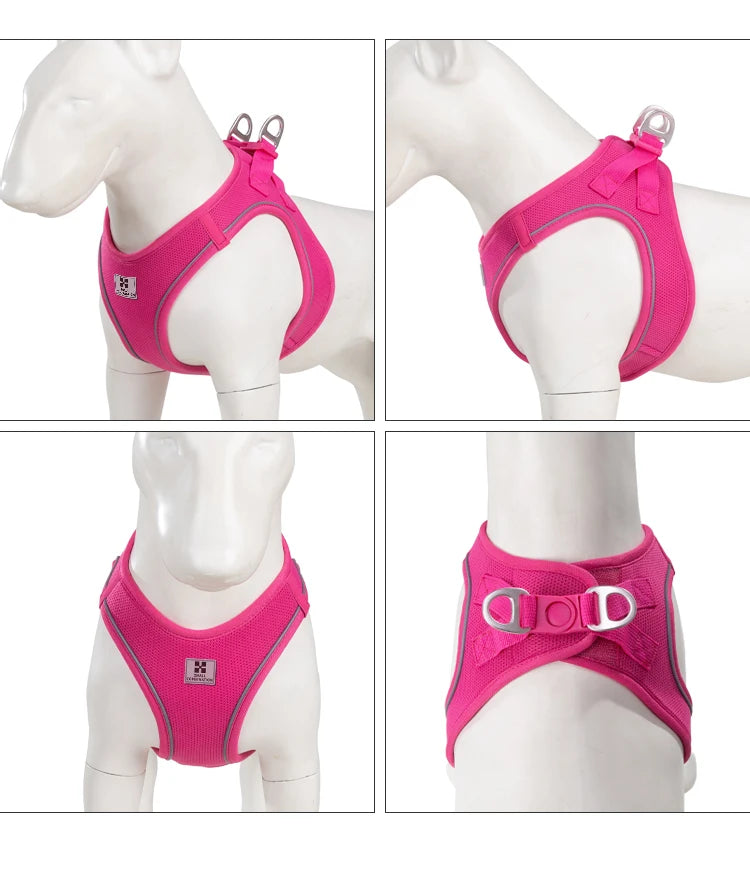 Dog Harness & Leash Set for Small To Medium Dog