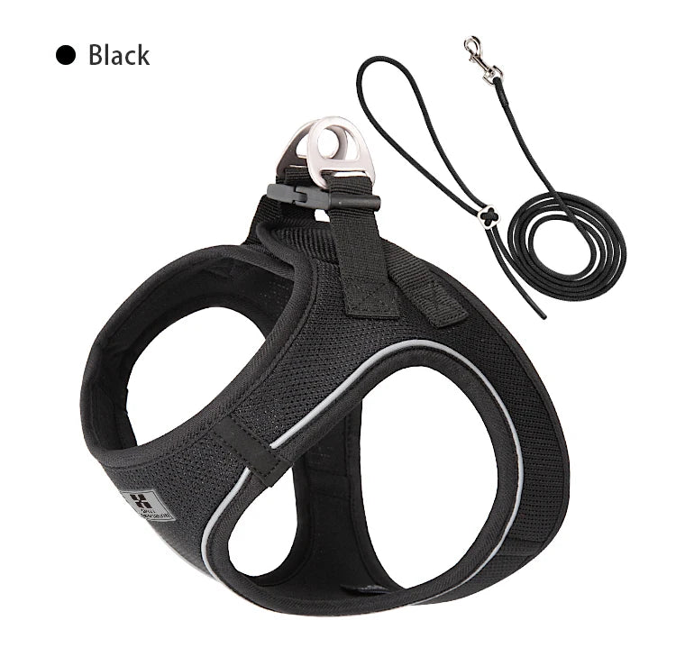 Dog Harness & Leash Set for Small To Medium Dog