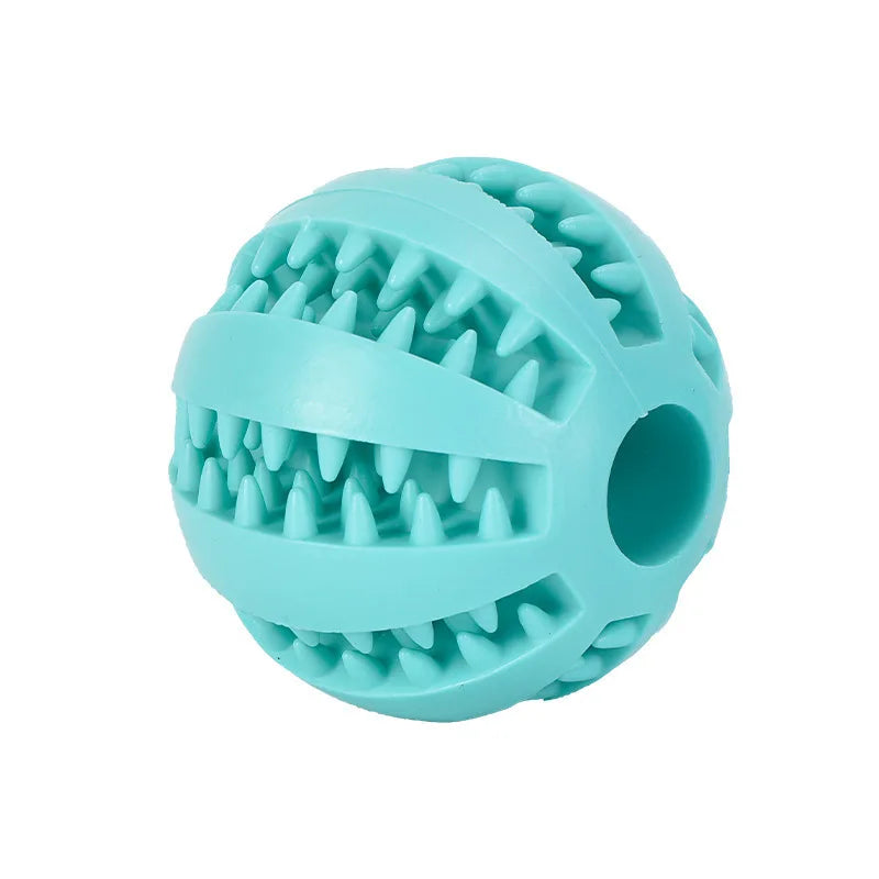 Pet Toy, Front