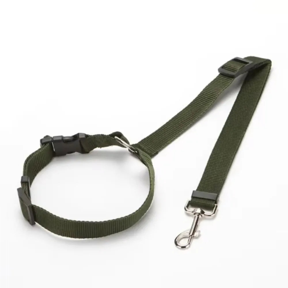 Dog Harness, Front