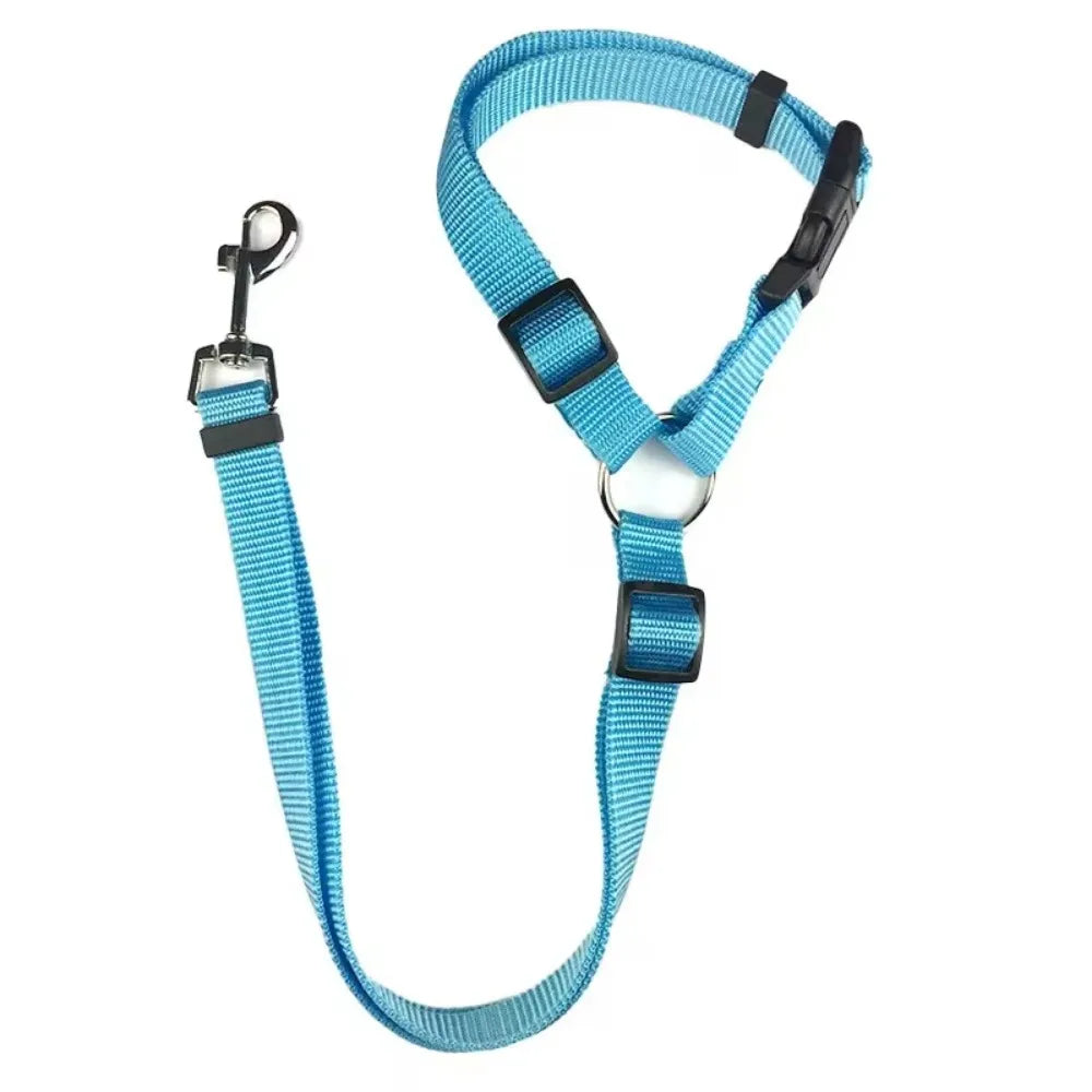 Dog Harness, Front